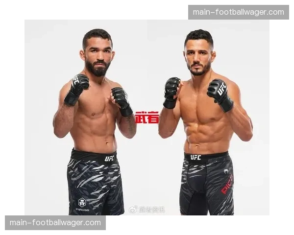 普罗哈兹卡vs乌尔伯格风格对比:站立重炮手对阵全能型挑战者 普罗哈兹卡vs乌尔伯格风格对比:站立重炮手对阵全能型挑战者